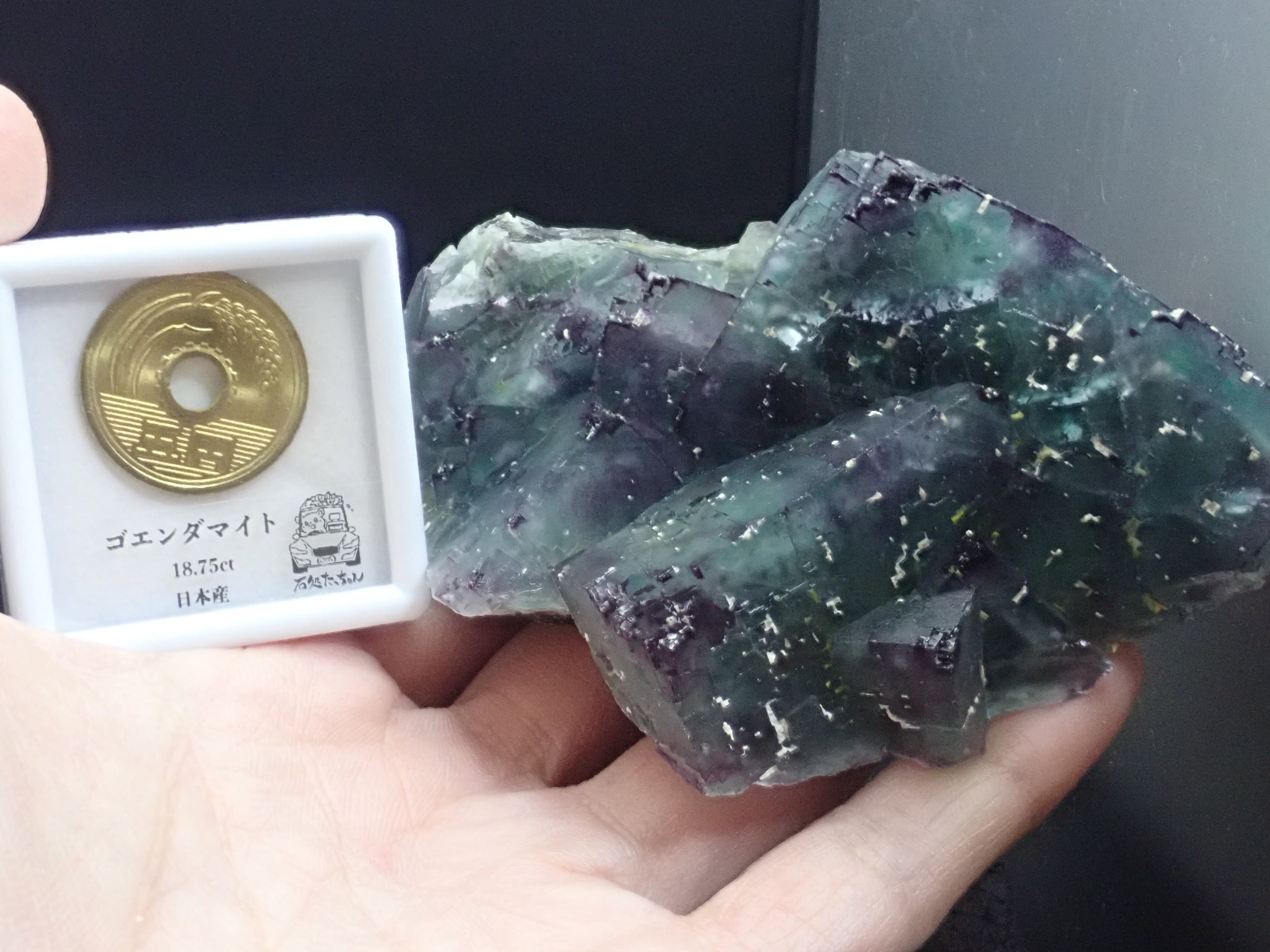 特大結晶】オコルス鉱山 フローライト 蛍石 原石 標本 | 石処たっちゃん