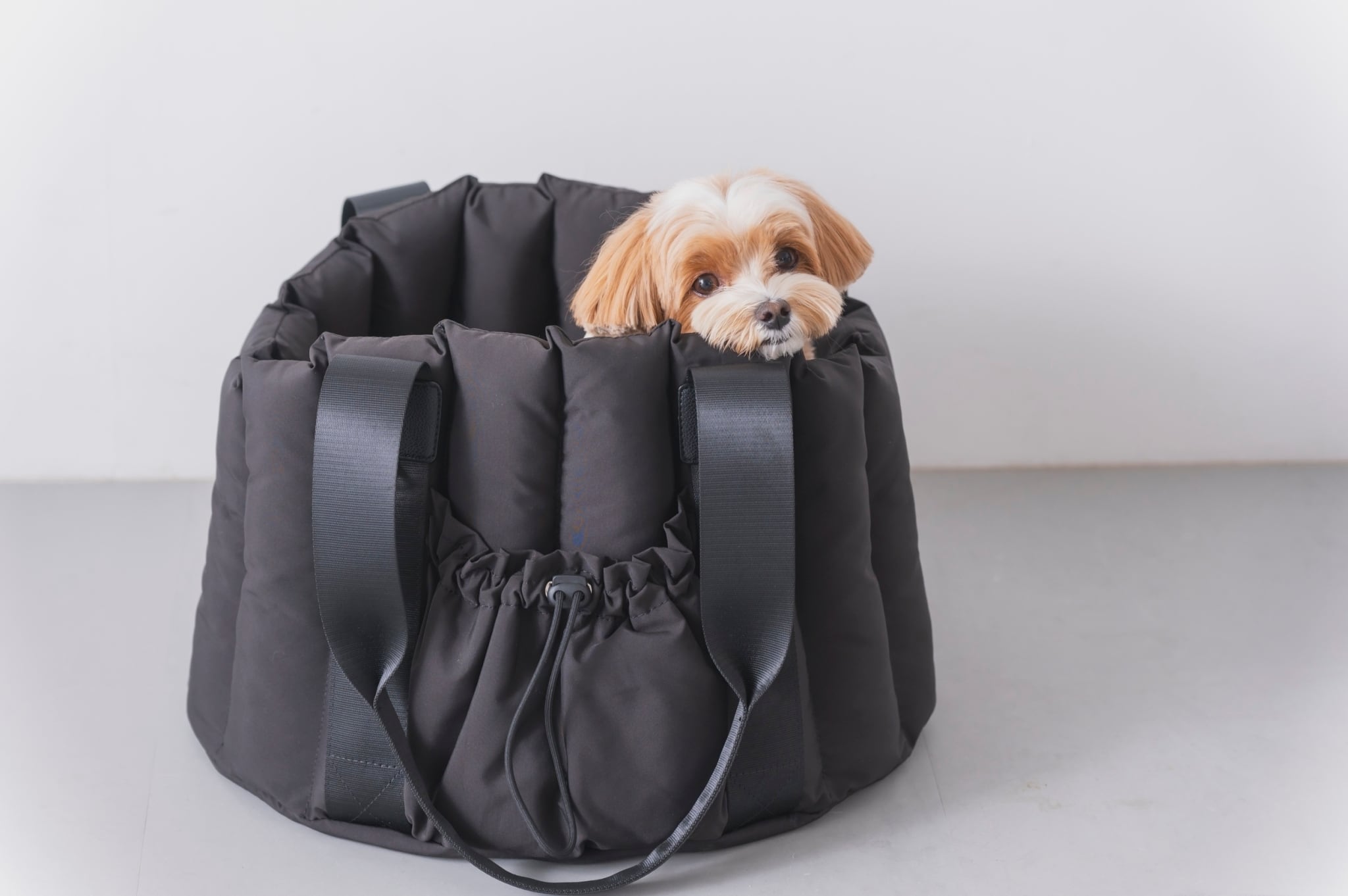 Burberry 犬用 キャリーバッグ 【公式通販】