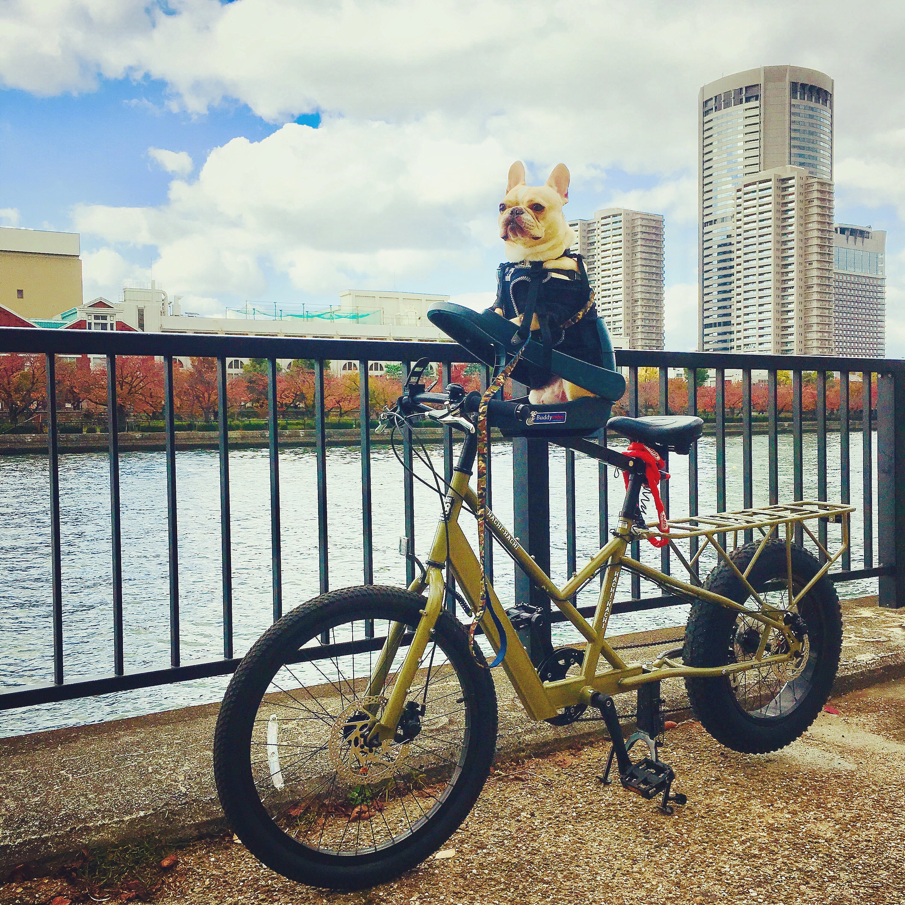 バディーライダー（本体）BuddyRider Series 2【新型】 | NIMAGON