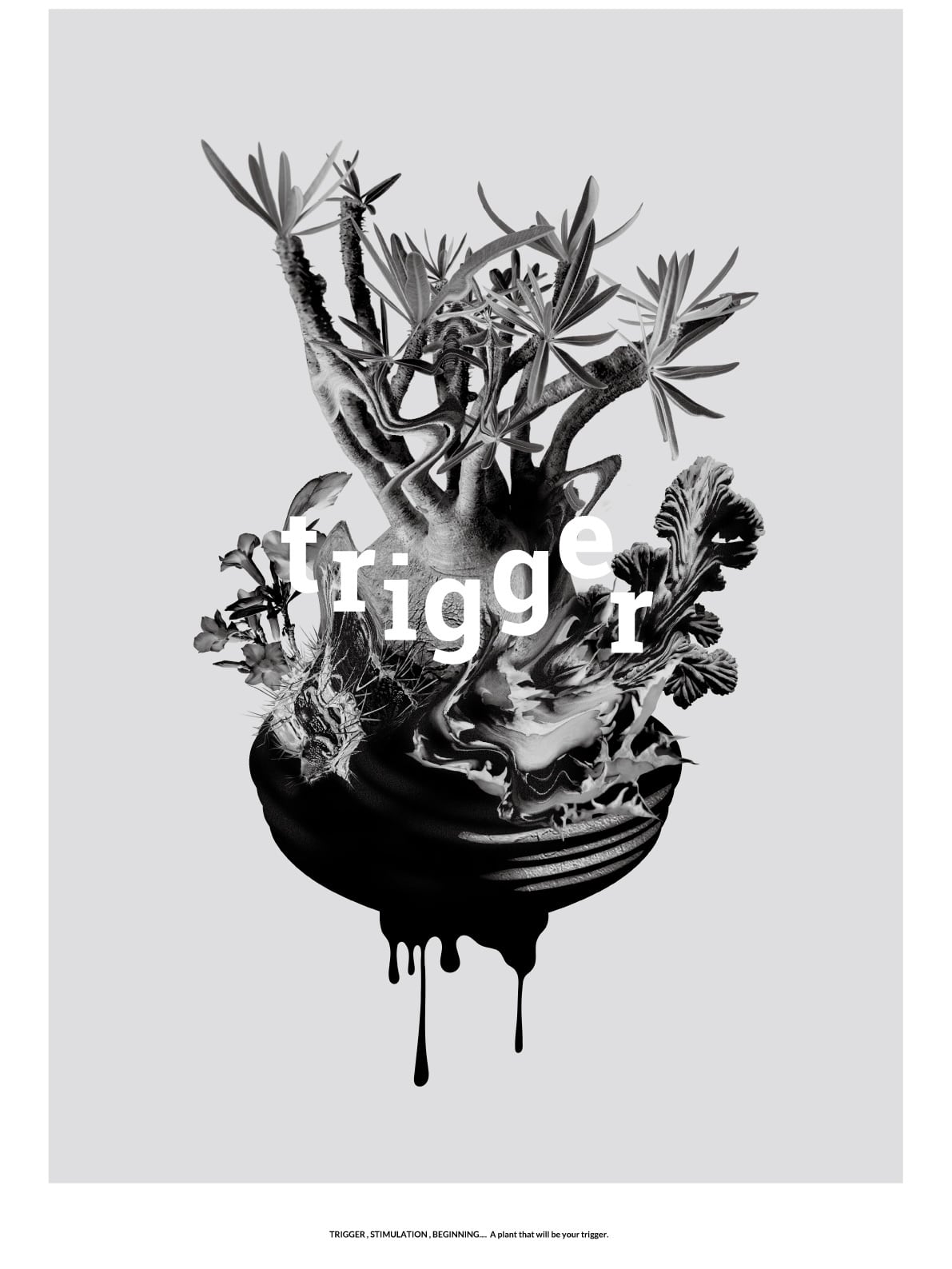 ボタナイズ バナケン 点描画 絵 ポスター 塊根植物 サボテン 数量限定