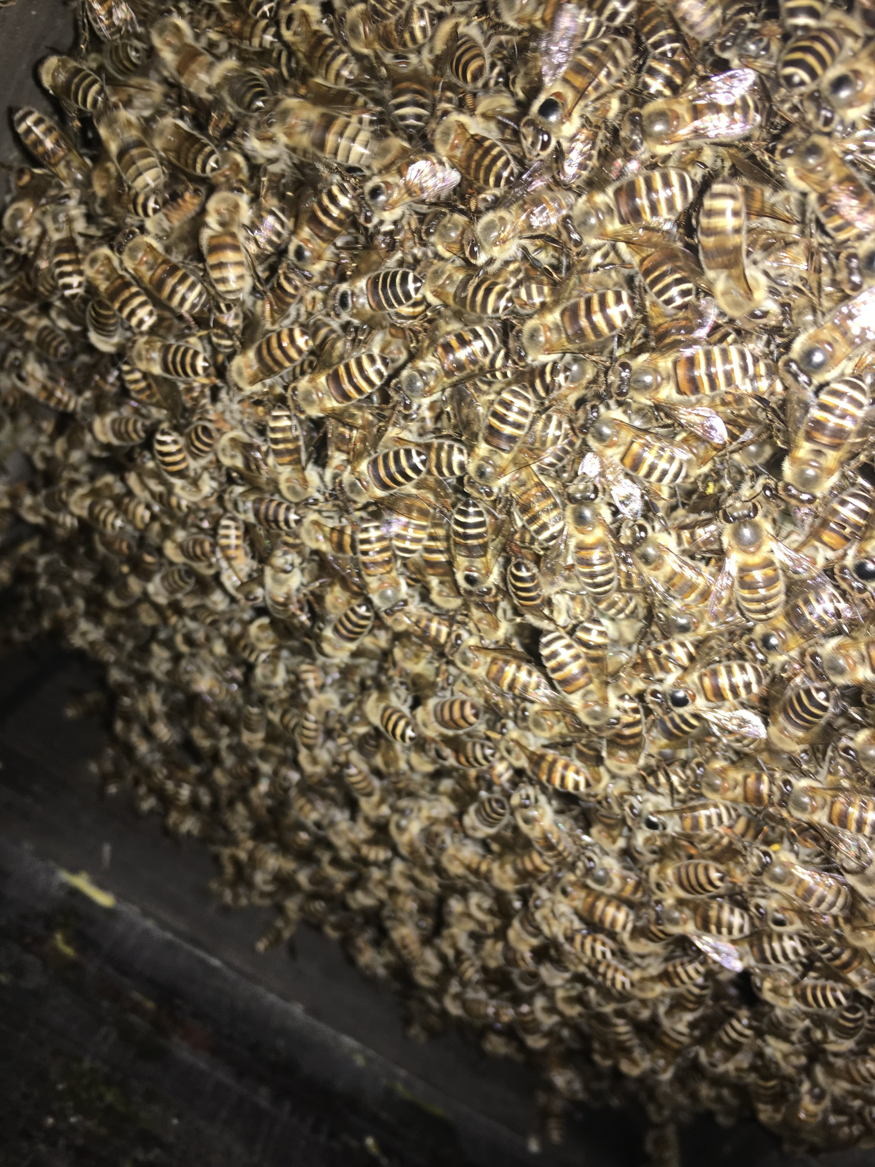 ba389022491ac7009afce0db8dc902