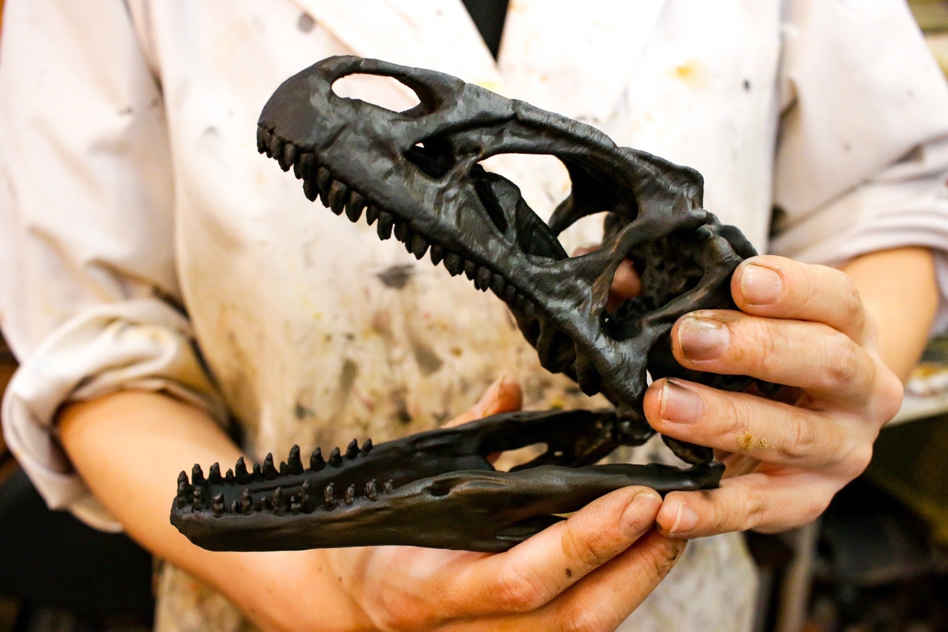 アロサウルス 爪 化石 レプリカ 約163.34mm arr12 【公式通販】