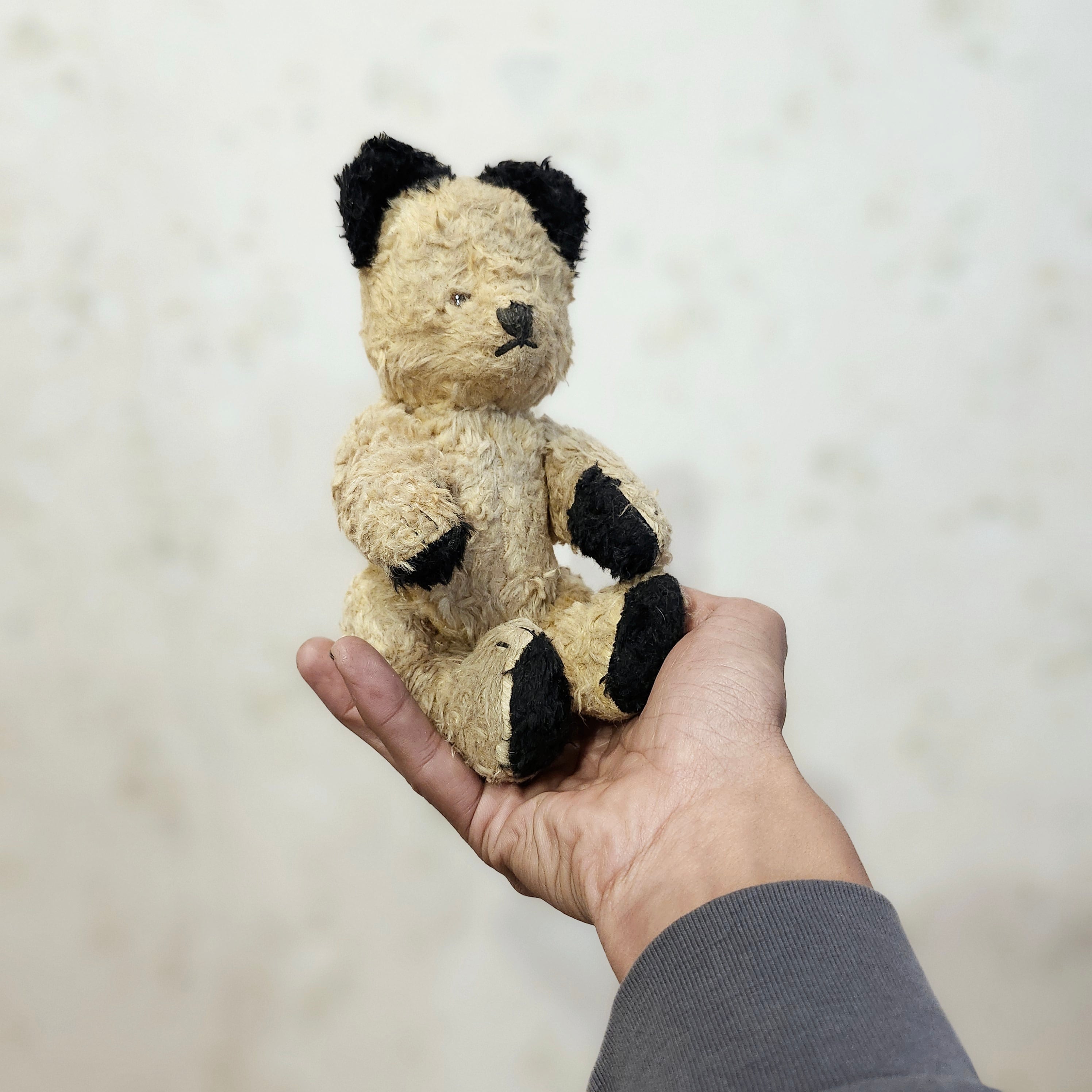 お値下げドイツ アンティークベア愛されすぎたテディベア藁詰グラス