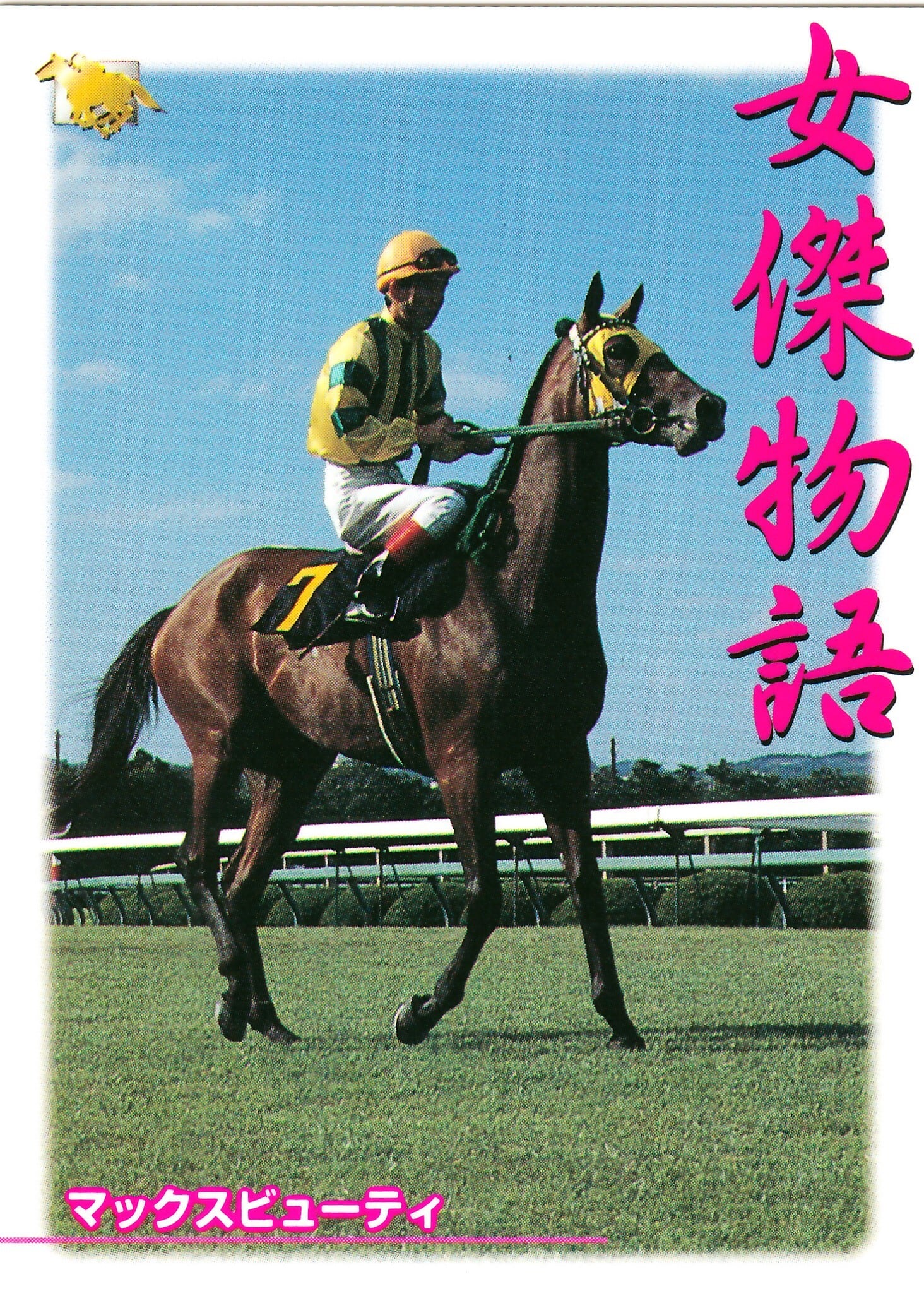 競走馬 THE VICTORY PLATINUM サラブレッド 未開封 競走馬 THE VICTORY