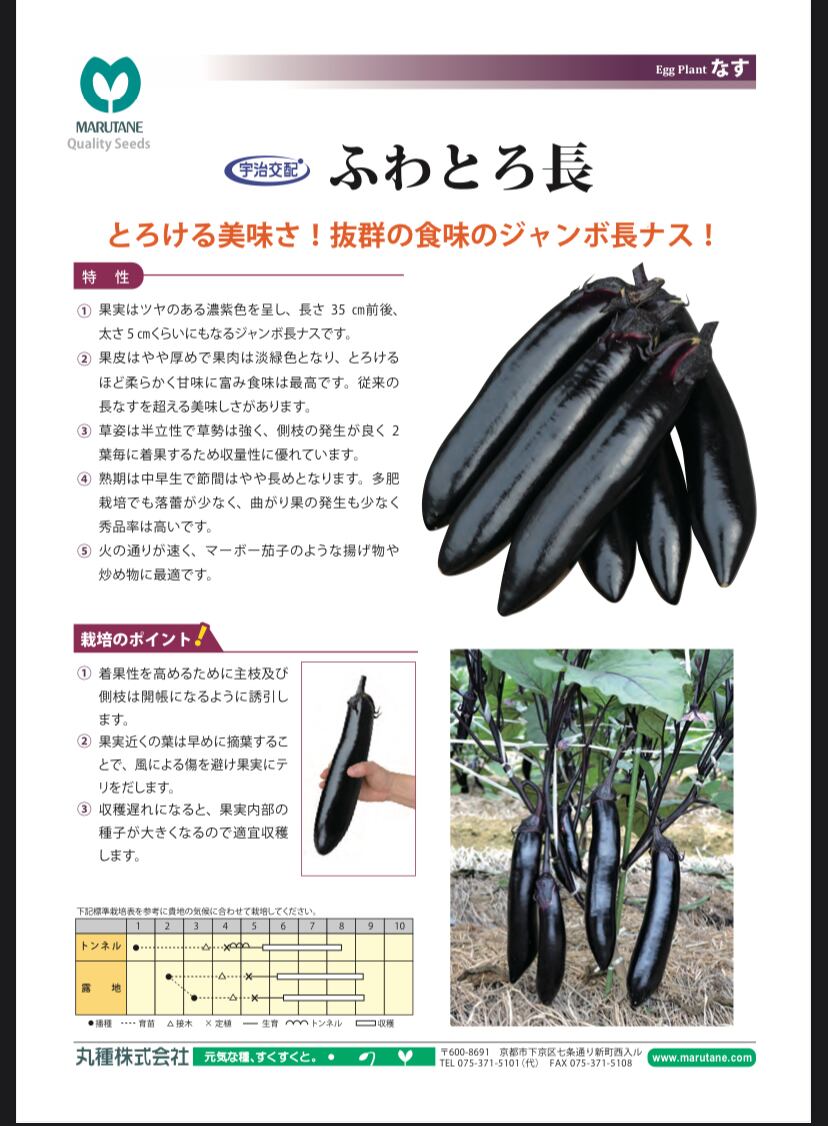 ふわとろ長なす20粒」 | wakabaseed