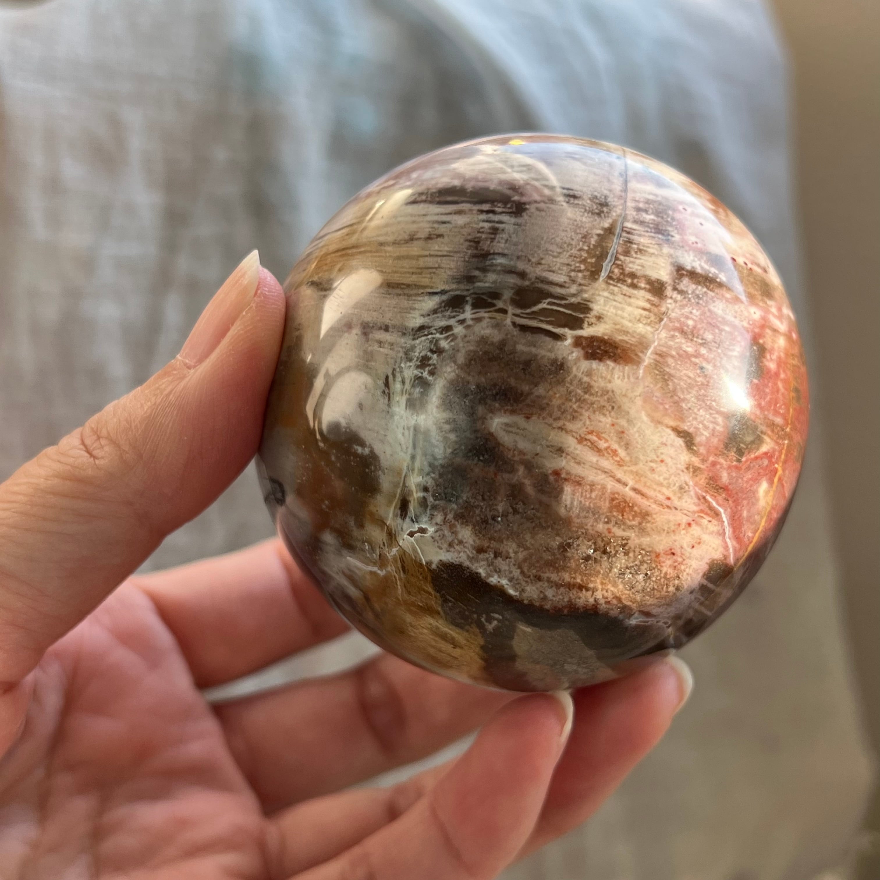 Yahoo!オークション - 天然 珪化木ペトリファイドウッド 約1.3kg 原石