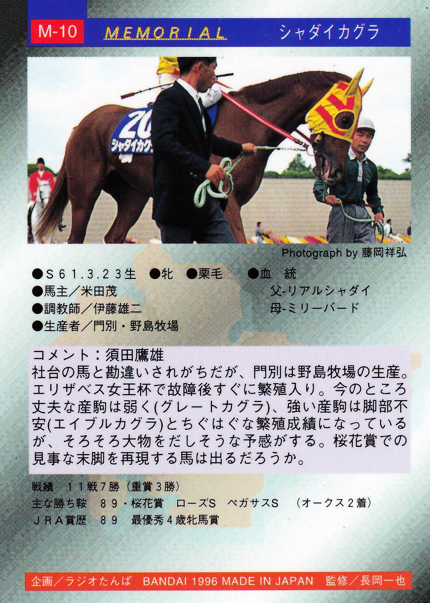 競馬1996年サラブレッドカード 約668枚 【公式通販】