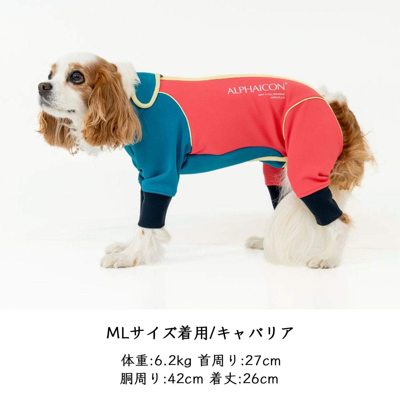 ALPHAICONダブルフルドッグガード 2025年モデル 3Lサイズ