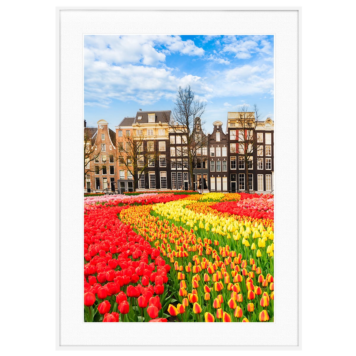 ポスター 横 特寸法 チューリップ 赤い花 額装仕上げ品 ポスター 横 特