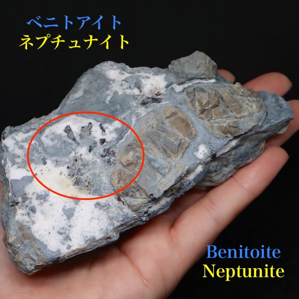 c49daab2203058ec5e4fcc4b3e0479