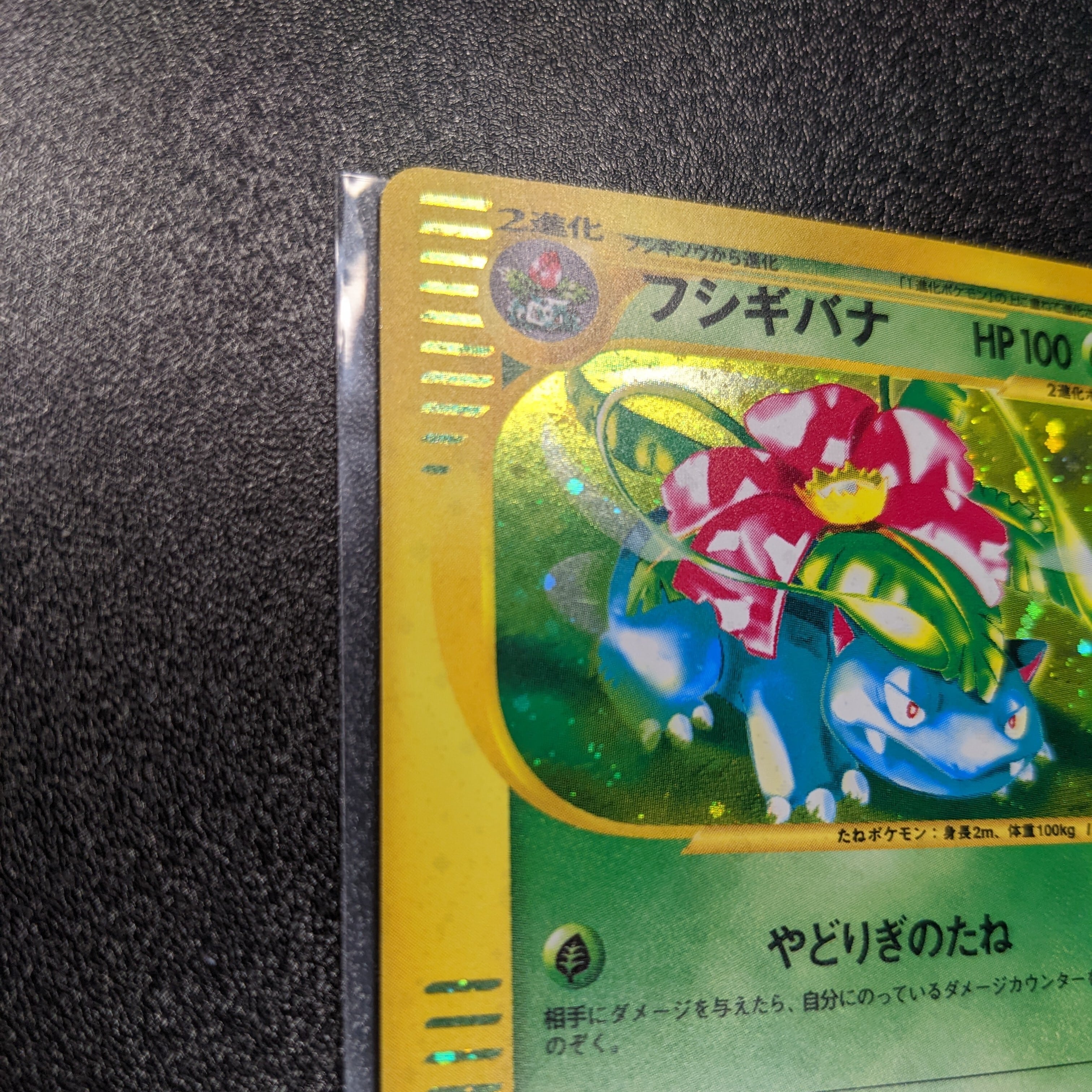 カメックス トリプルゲットキャンペーン プロモ PROMO ポケモンカード
