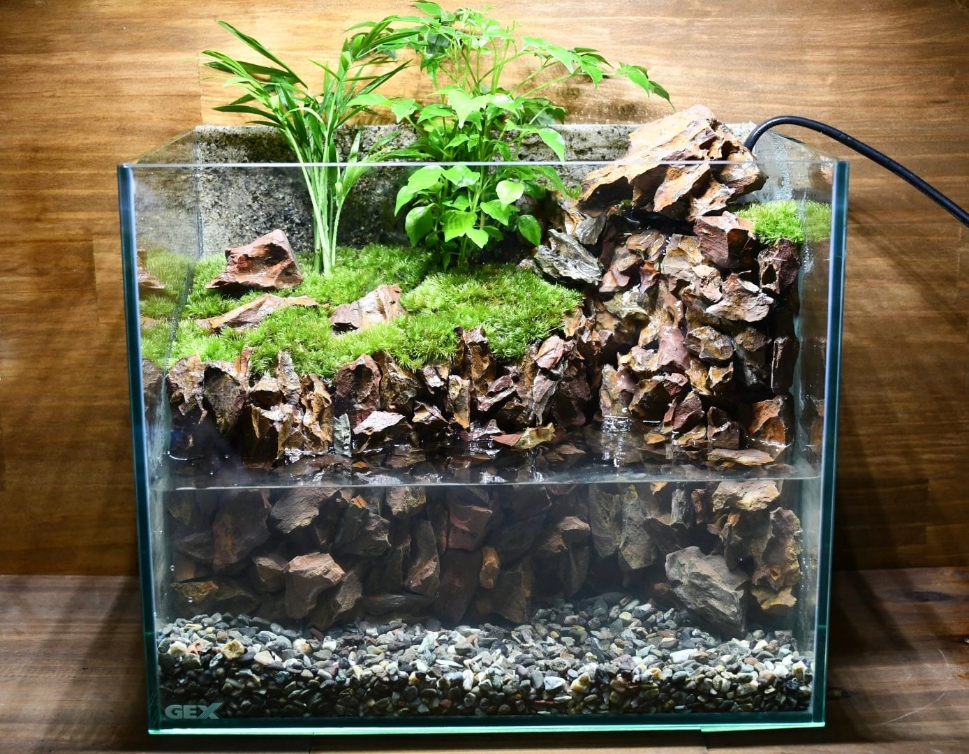パルダリウム・テラリウム水槽600×300×360