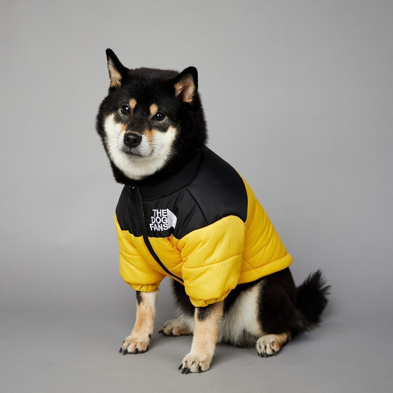 犬服 防寒対策 ダウンジャケット フレンチブルドッグ パグ ゴールデン