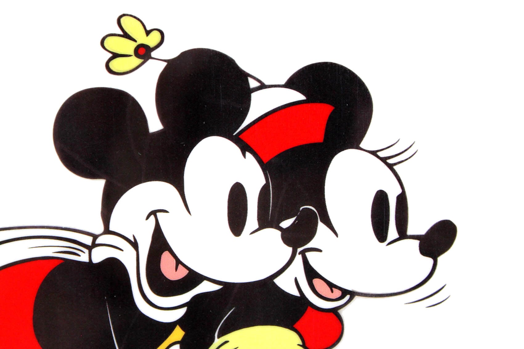 ディズニー ミッキー ミニー 