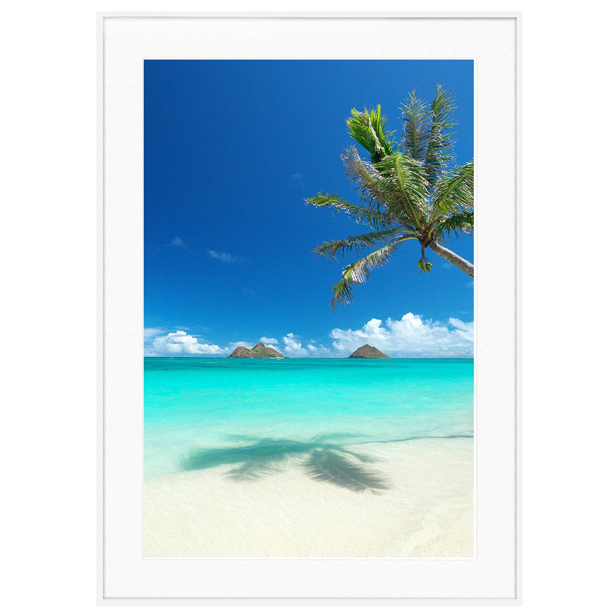 夏写真 ハワイ ラニカイ・ビーチとモクルア・アイランズとヤシの木