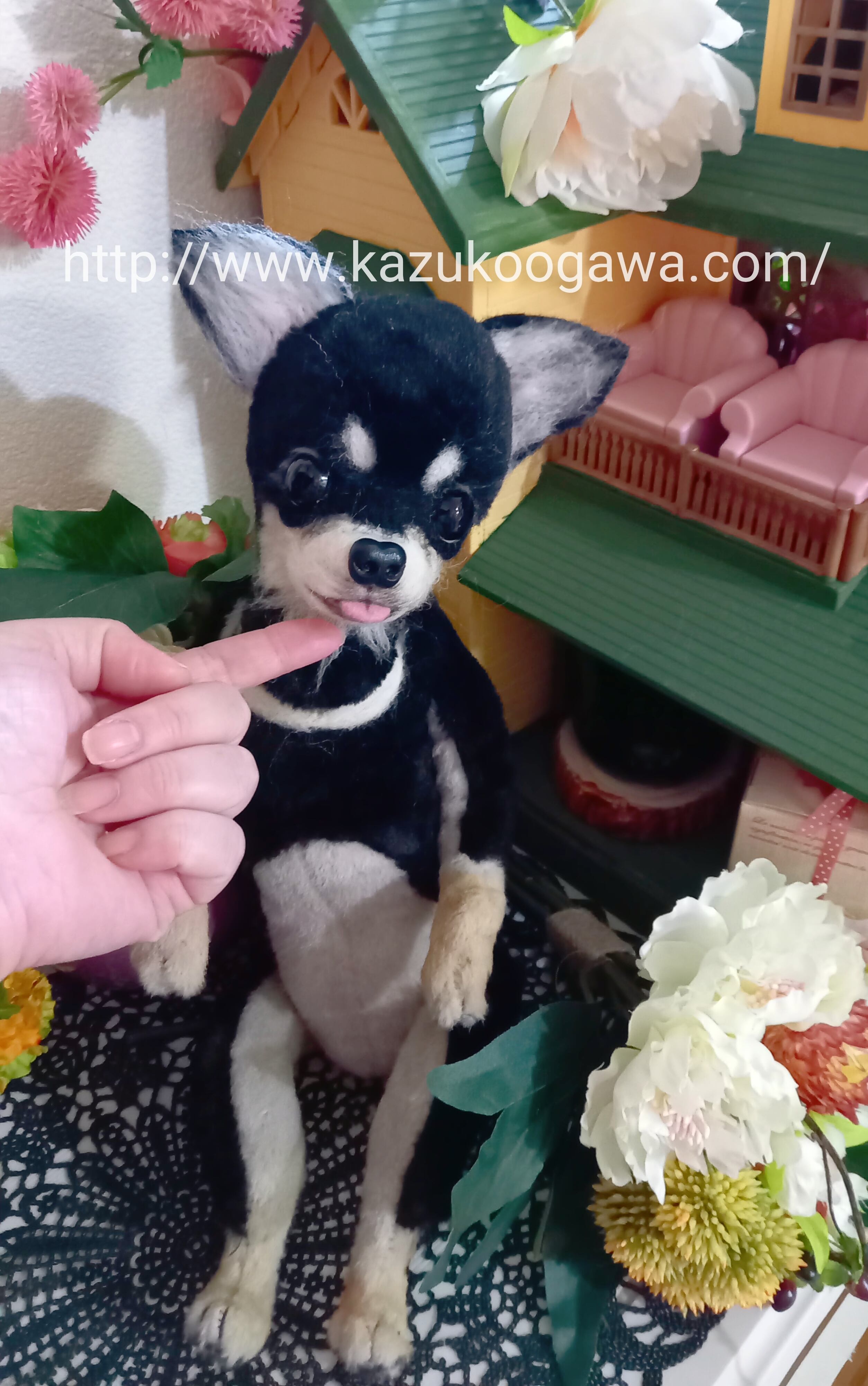 スムースコート チワワ 【ブラックタン】 実物大 ぬいぐるみ【公式