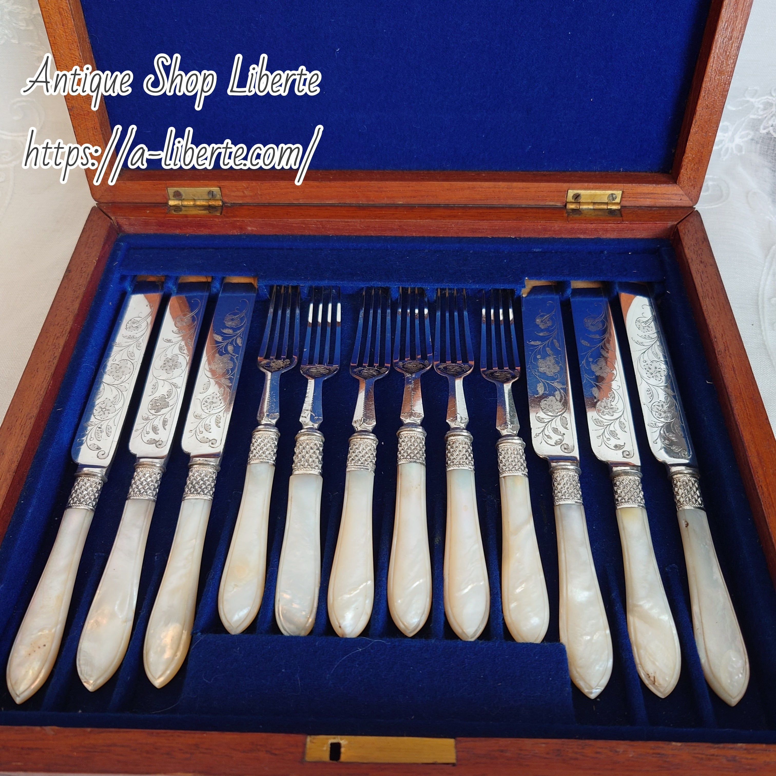 Allen & Darwin】【白蝶貝 】デザートセット マザーオブパール 英国