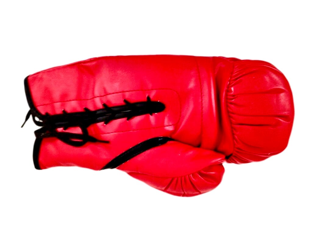 EVERLAST マイク・タイソン サイン入り ボクシンググローブ 赤 Yahoo