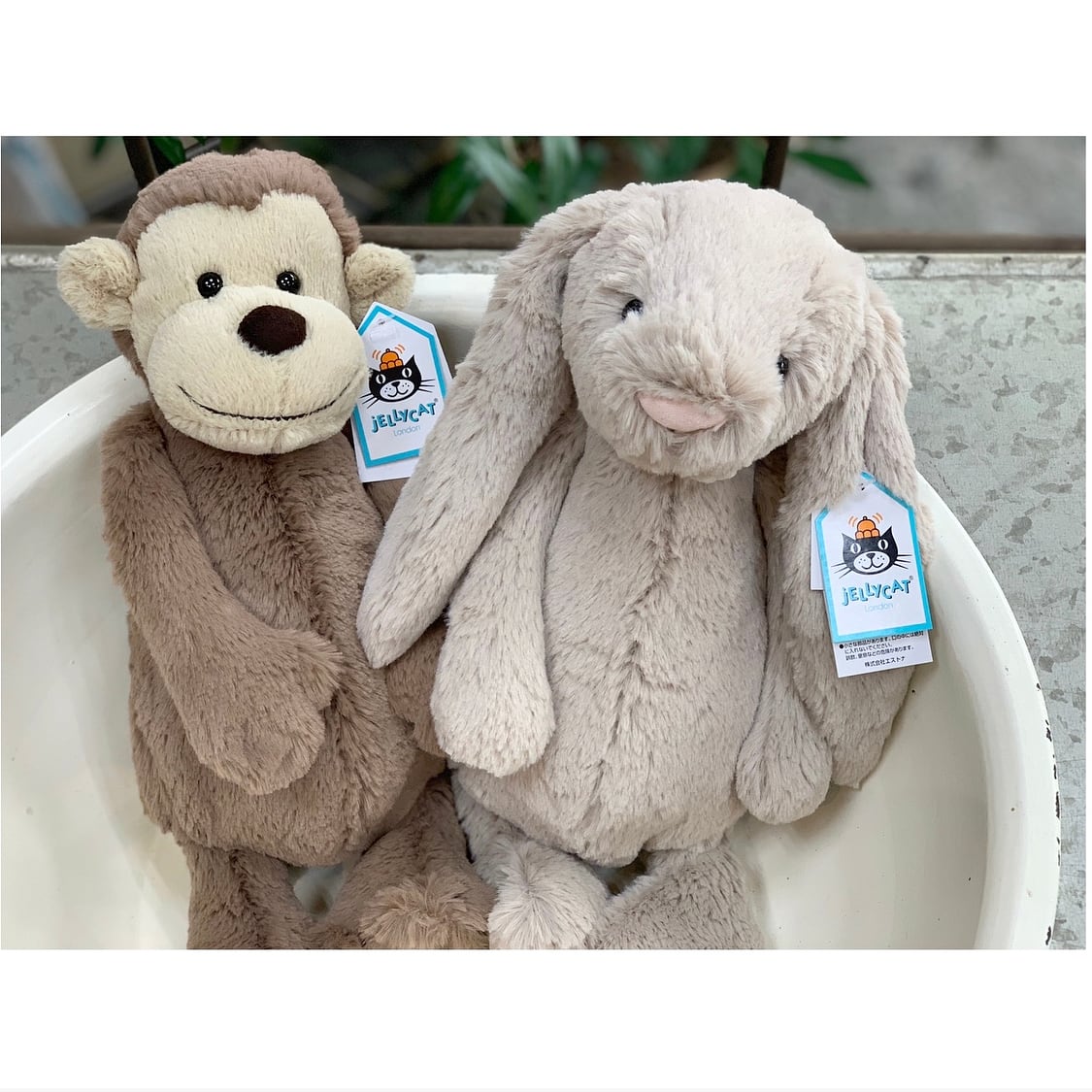 Jelly cat / ジェリーキャット Bashful Beige Bunny Medium ぬいぐるみ