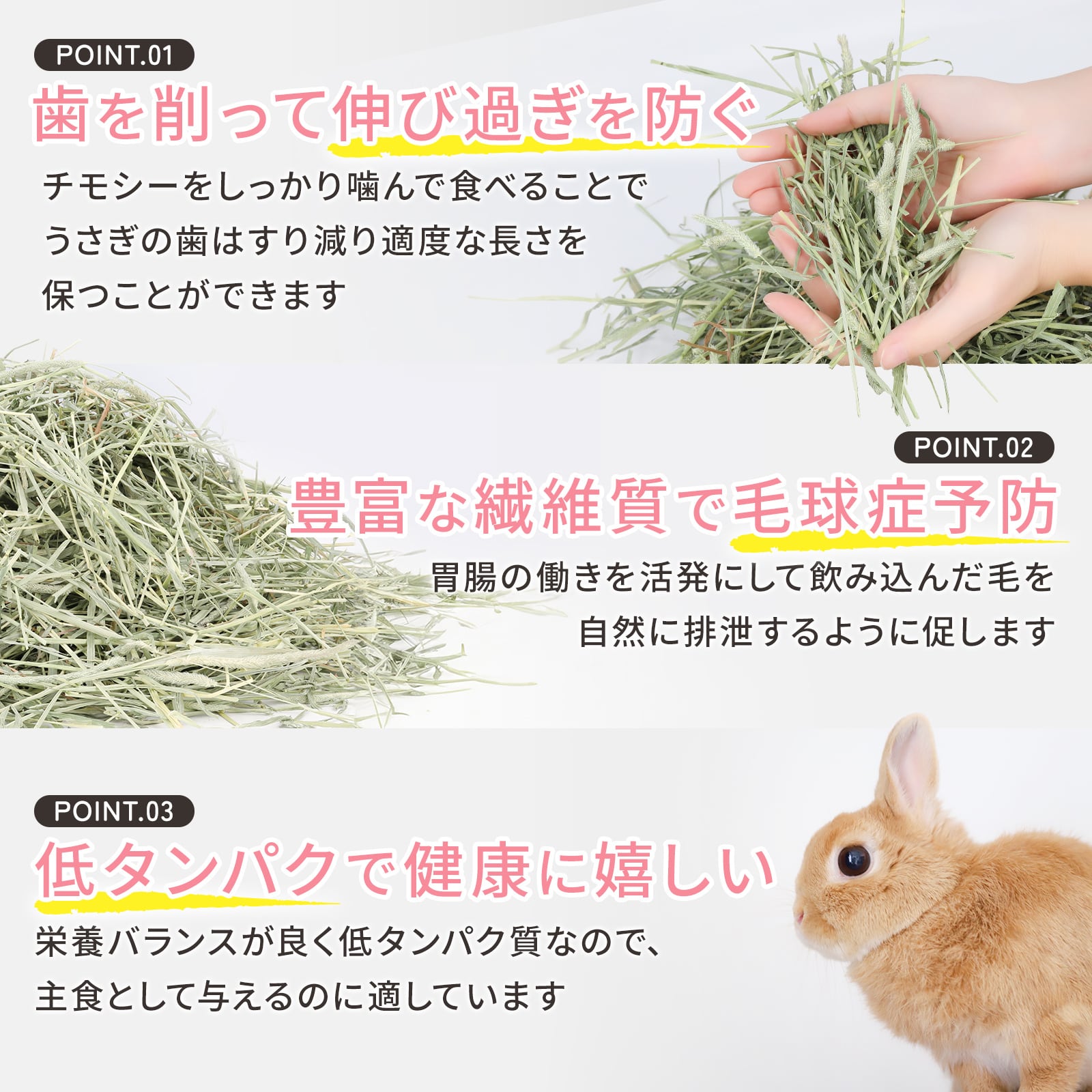 アメリカ産プレミアムチモシー2番刈りダブル 10kg | うさぎの牧草