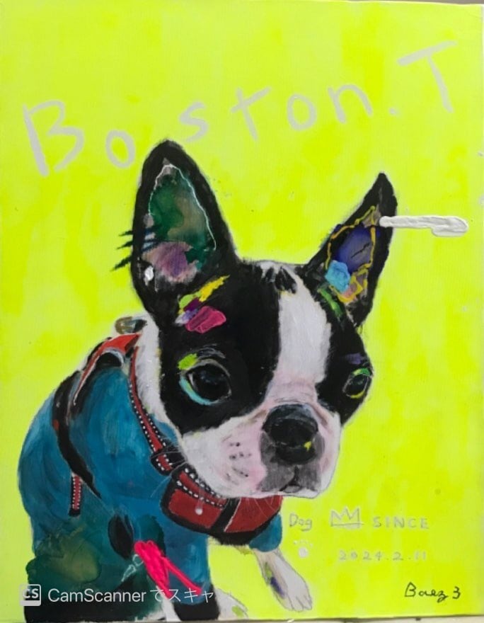 アクリル画 ボストンテリア 犬 宇宙 キャンバス ポーリングアート