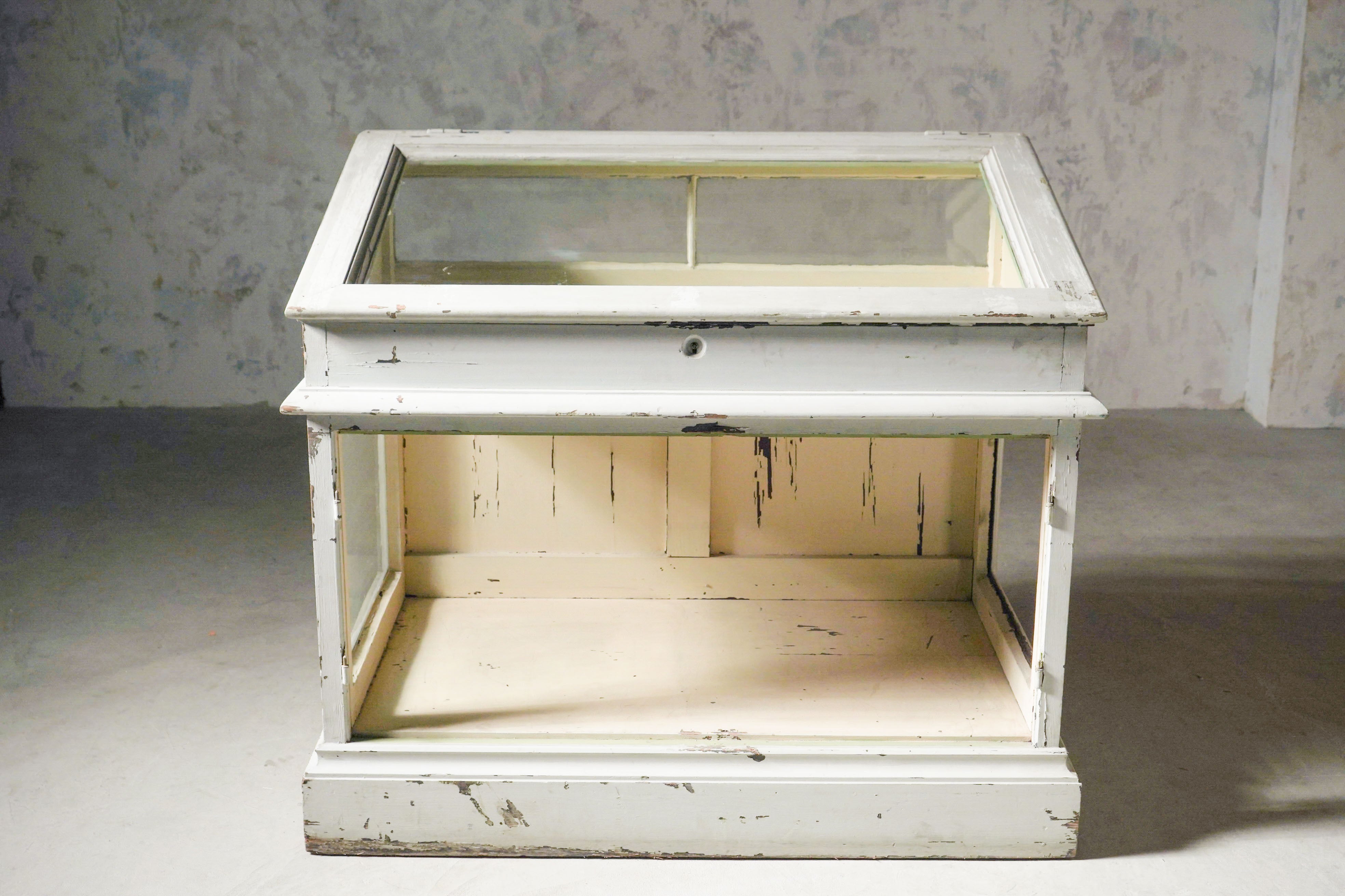 フランスアンティーク ディスプレイケース 19世紀 ガラス付き フランス