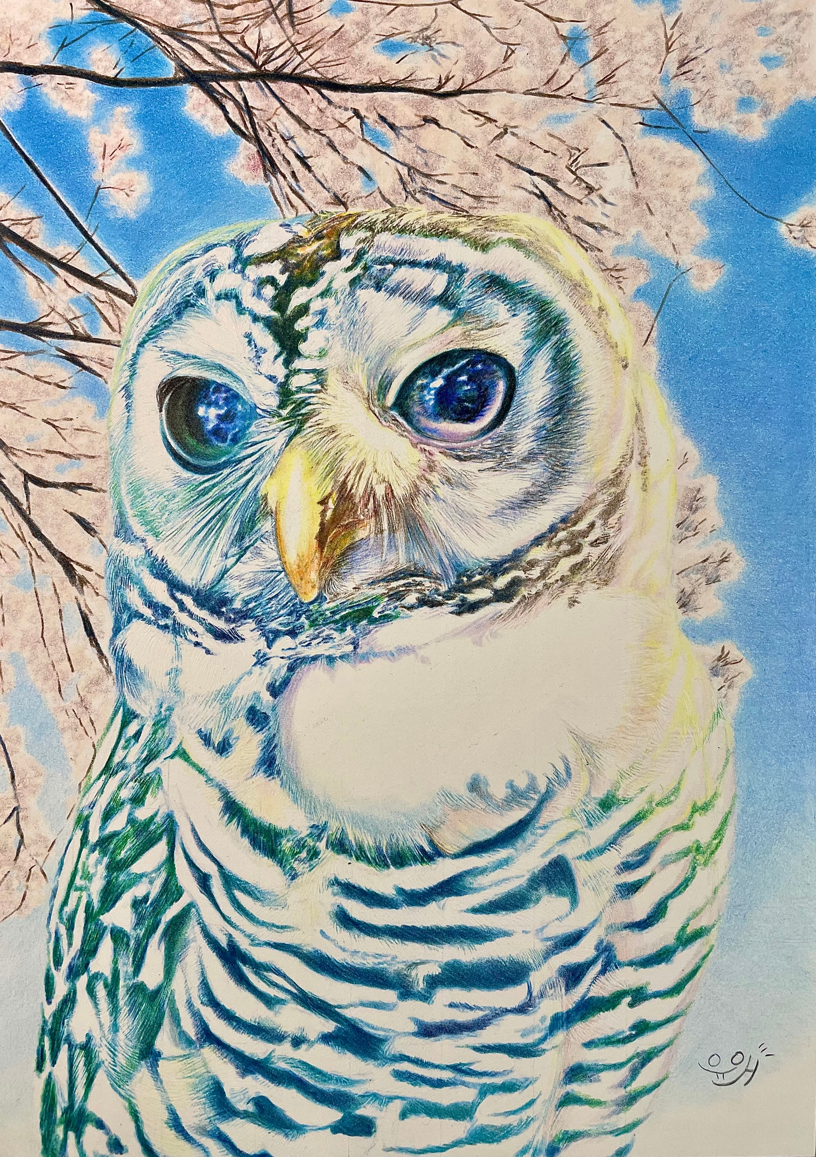 dcb3711cbcfab59efc0822a0919811