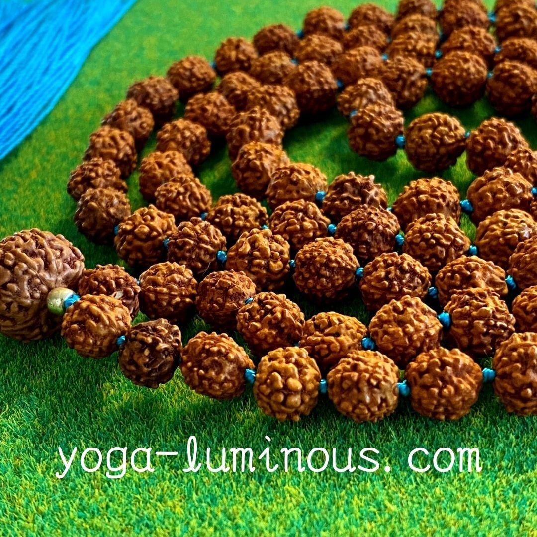 ルドラクシャマーラー トップ0ムキ ベース0ムキ、5ムキ