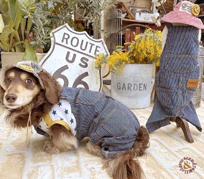 ハンドメイド ラグランロンT オーダー小型犬 【公式通販】