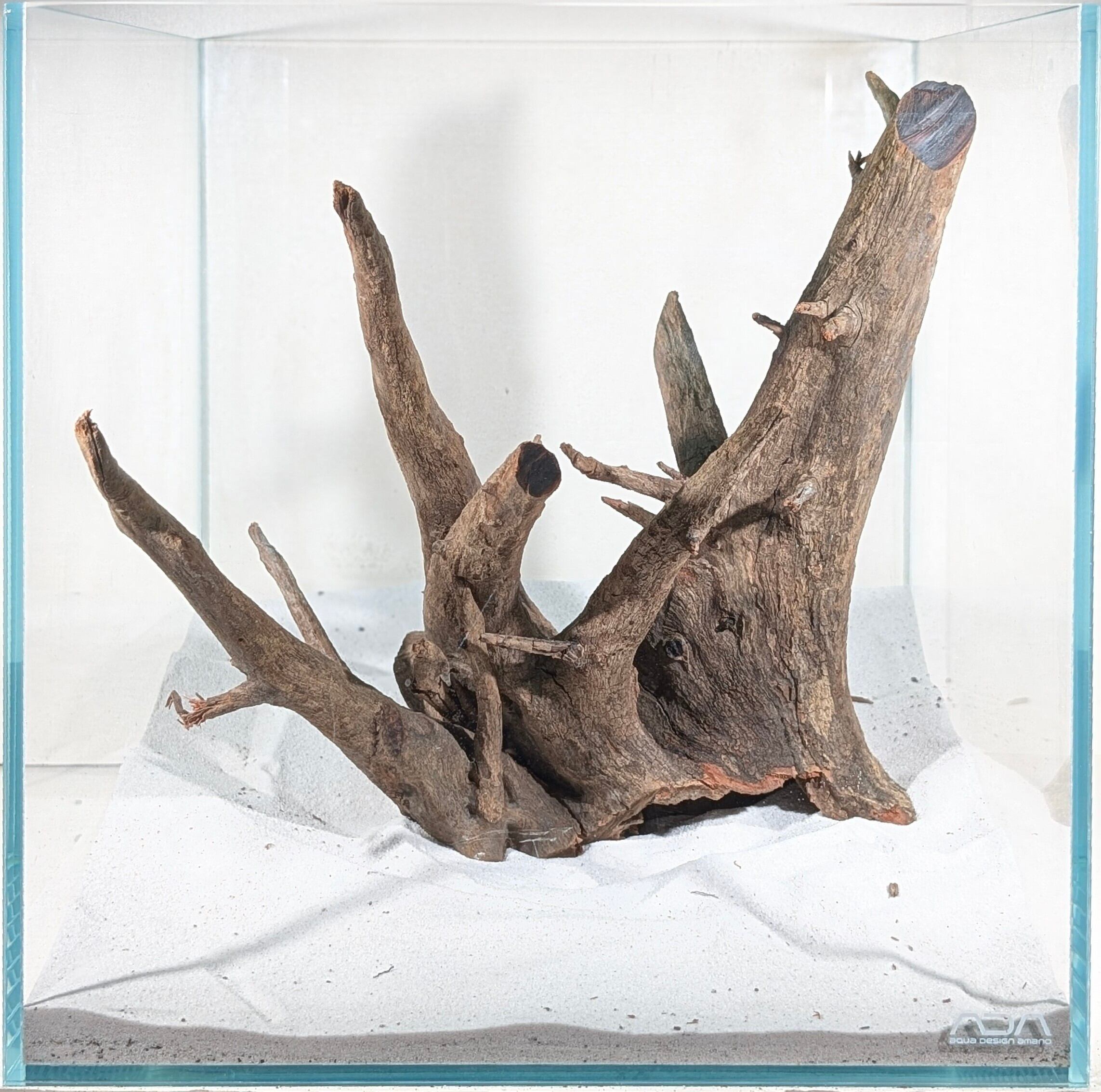 JACK」MTW-6527 特大蔦流木 天然流木 アクアリウム MTW-6527特大蔦流木