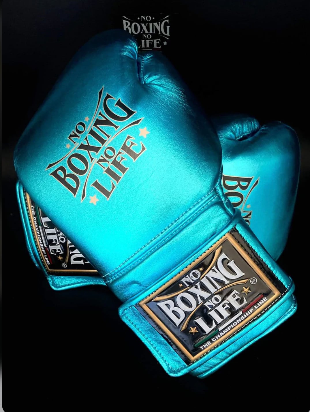 No boxing No life ノーボクシングノーライフトレーニンググローブ