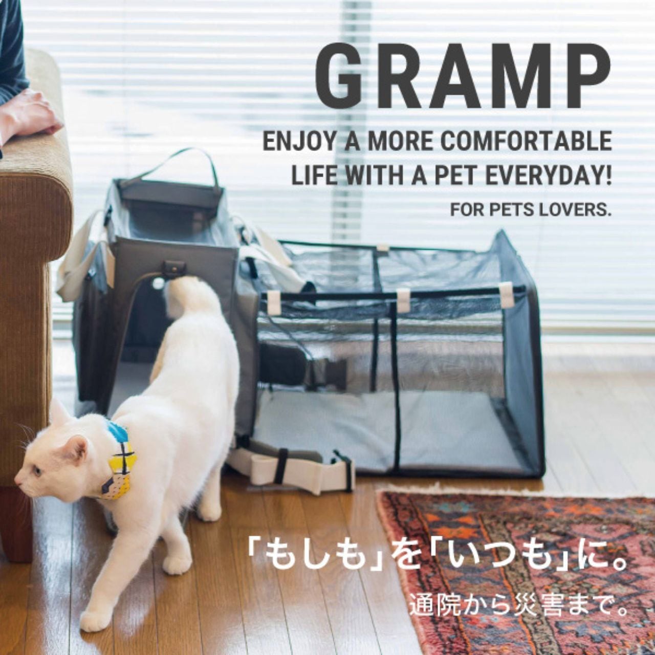 リュック型ペットキャリー GRAMP(グランプ)｜ペットの防災 災害・地震