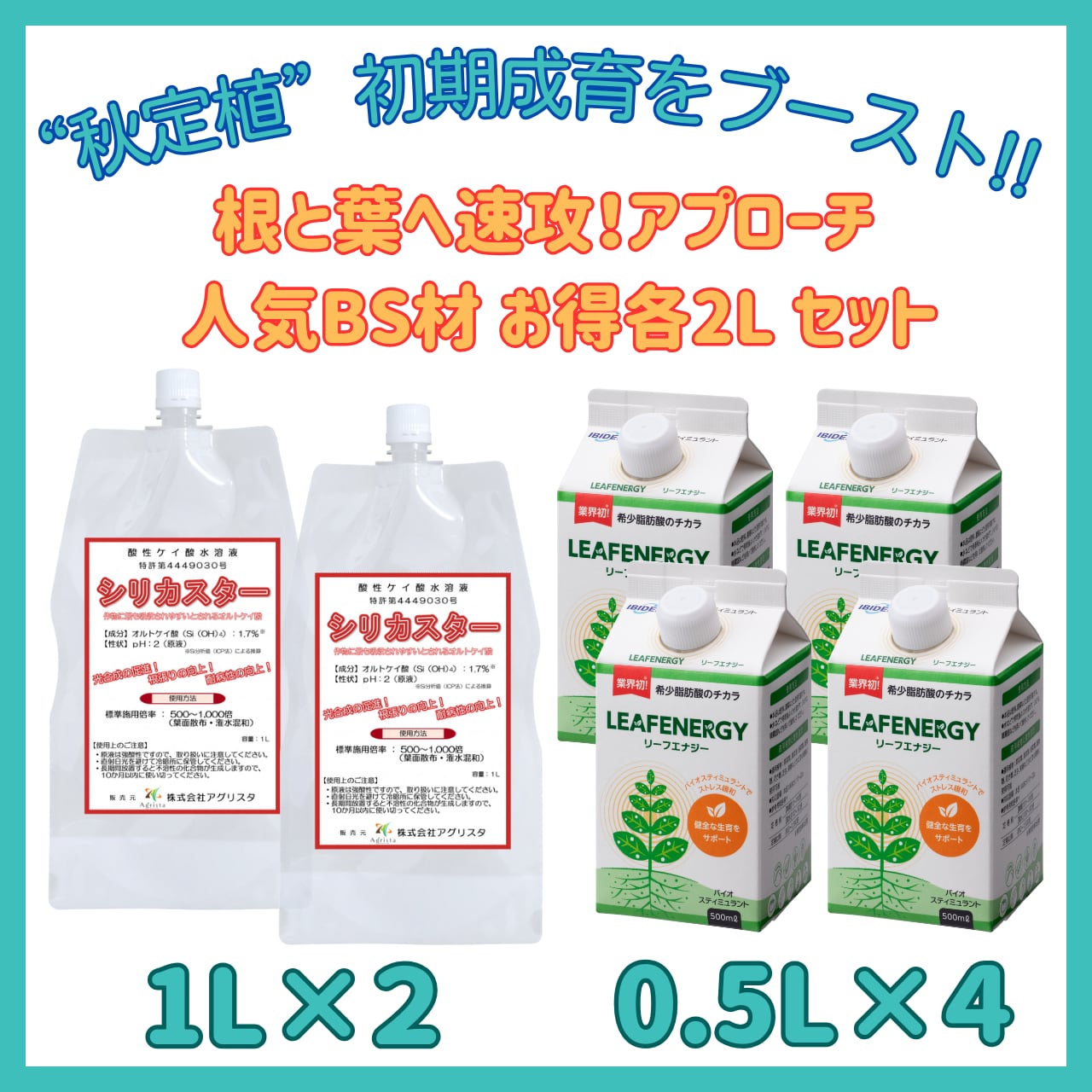水溶性 ケイ素 シリカエナジー 濃縮溶液 50ml 割引 3本セット販売