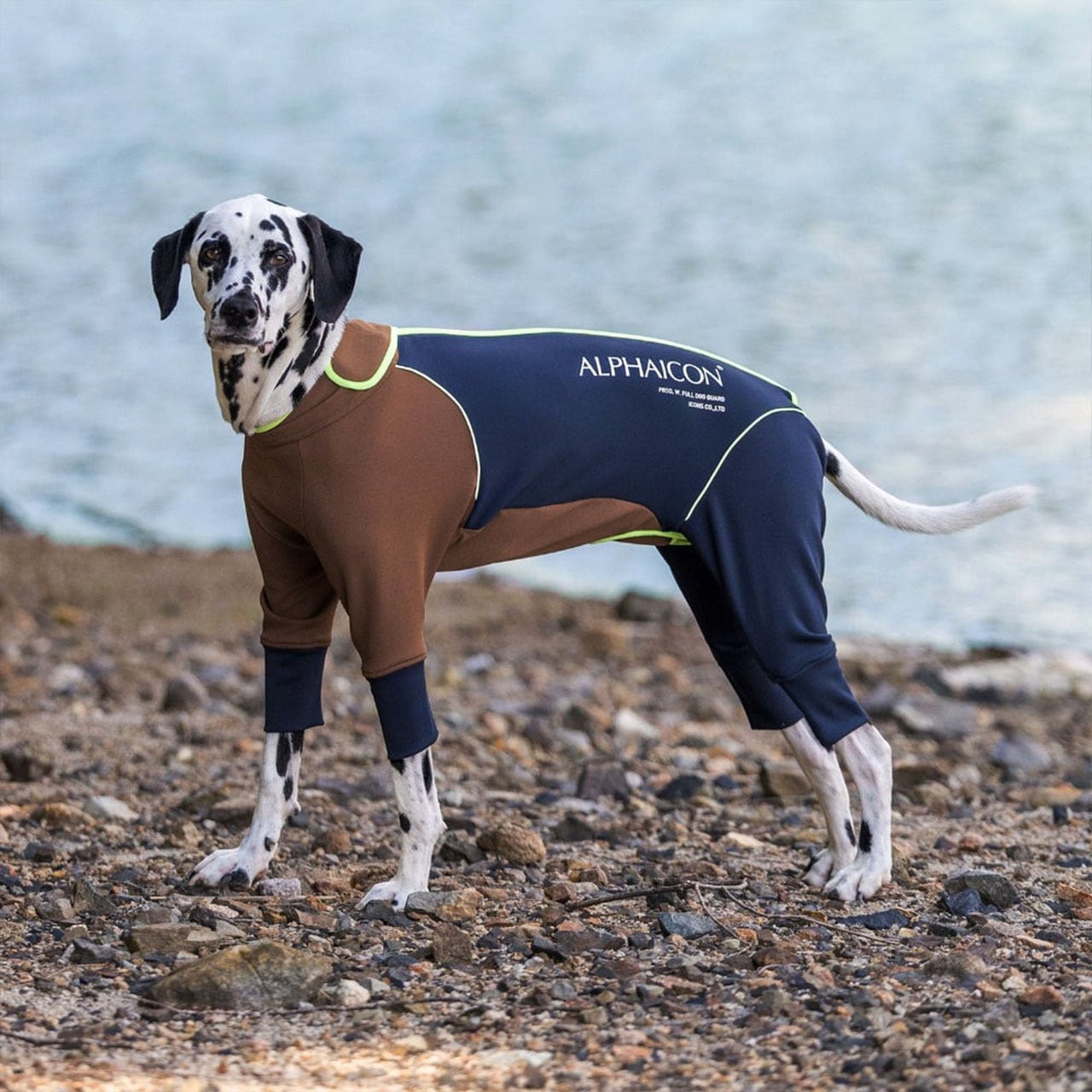 ALPHAICON ダブルフルドッグガードMLサイズ 股カット無し W.FULL DOG