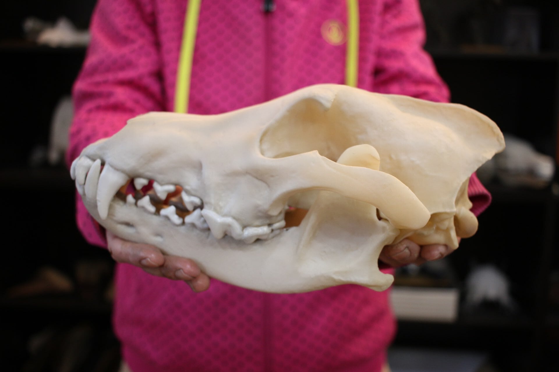 eccdb3eca4d3003784e4991c05f724