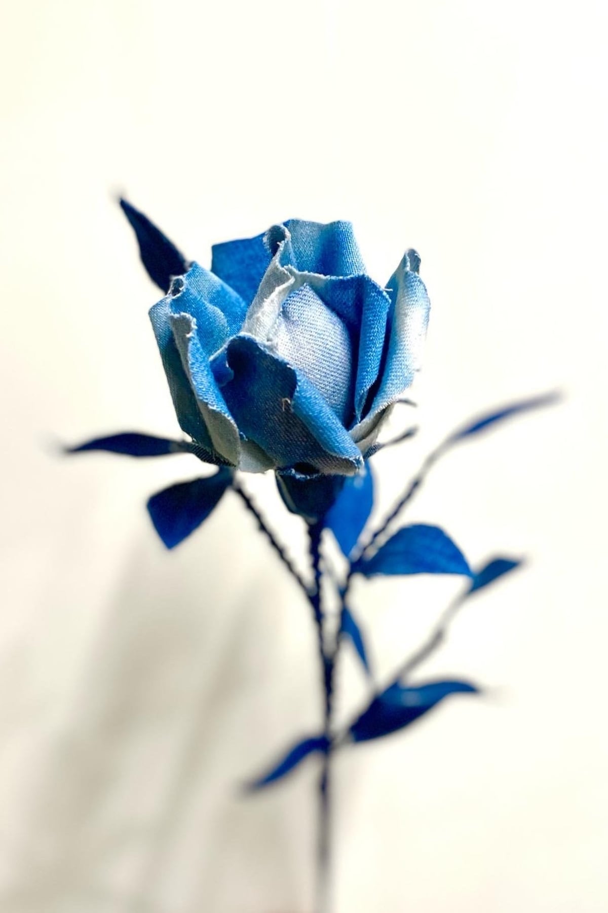 DENIM ROSE】 -IBARA / 藍バラ- | 青木被服 公式オンラインストア