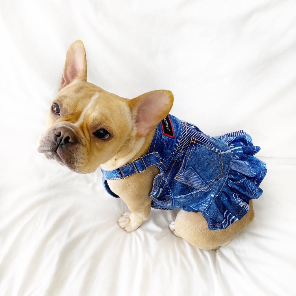 ハンドメイド犬服Fujicco様オーダー