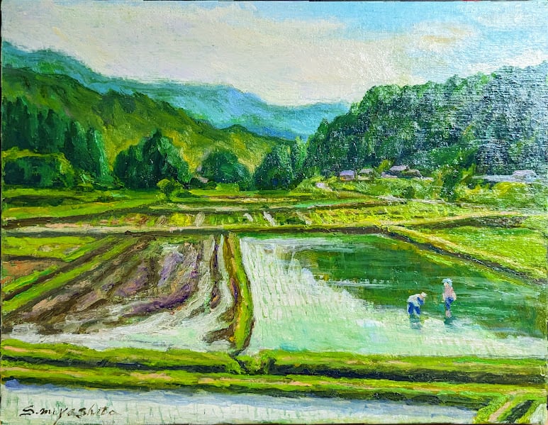 46×53㎝「田植え前の水田」油彩・原画・F10