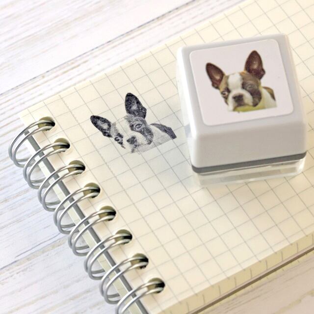 スタンピンアップ ペンギンスタンプ＆パンチ 【公式通販】