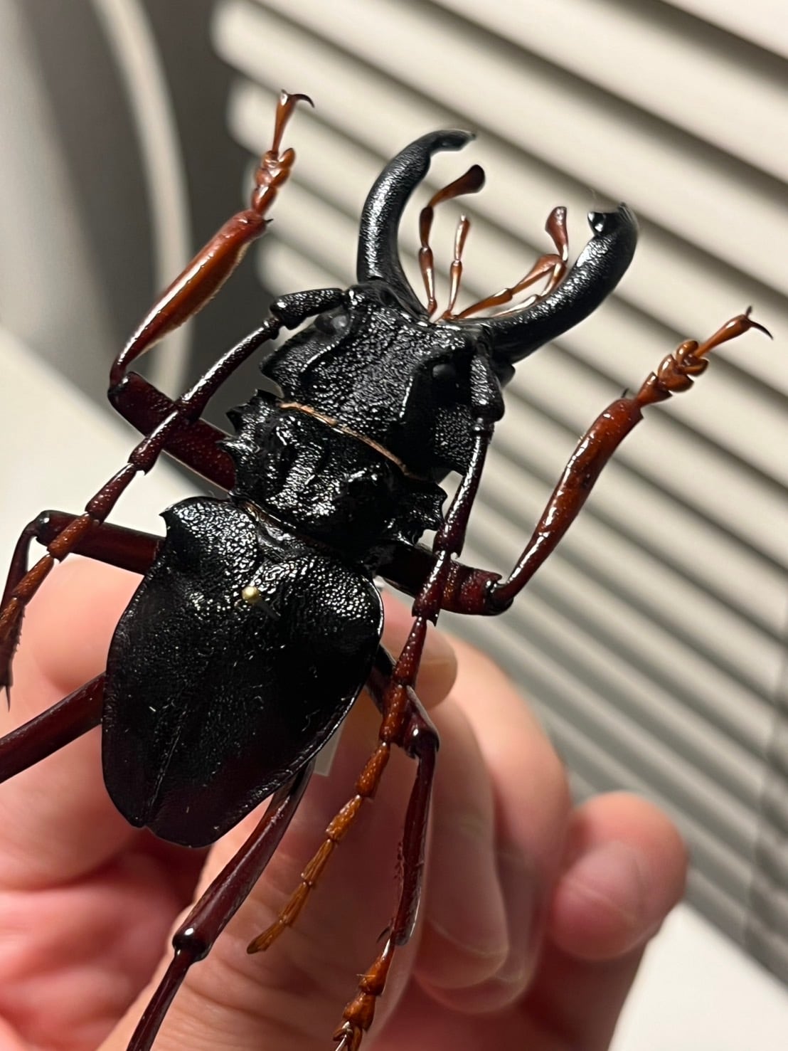 ed573e0c52ab3c0d0def6f1b18c323