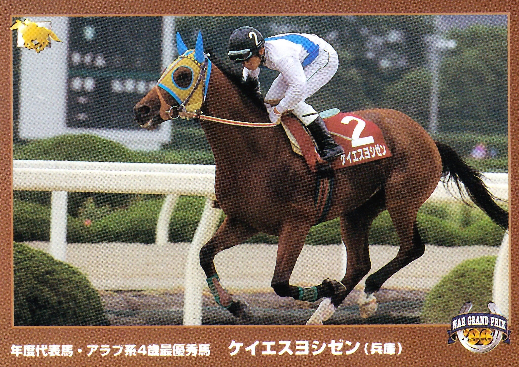 競馬1996年サラブレッドカード 約668枚 競馬1996年サラブレッドカード