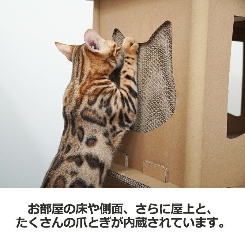 Petique ペティーク コンドミニアム キャットハウス キャットタワー 爪
