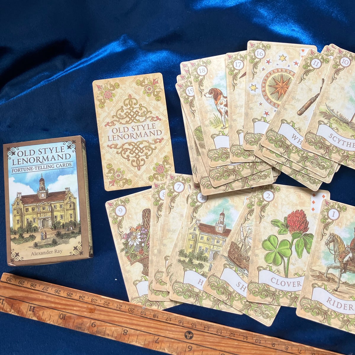 入荷1点のみ✨スペイン作家のキュートデッキ✨柔らか猫ちゃんの