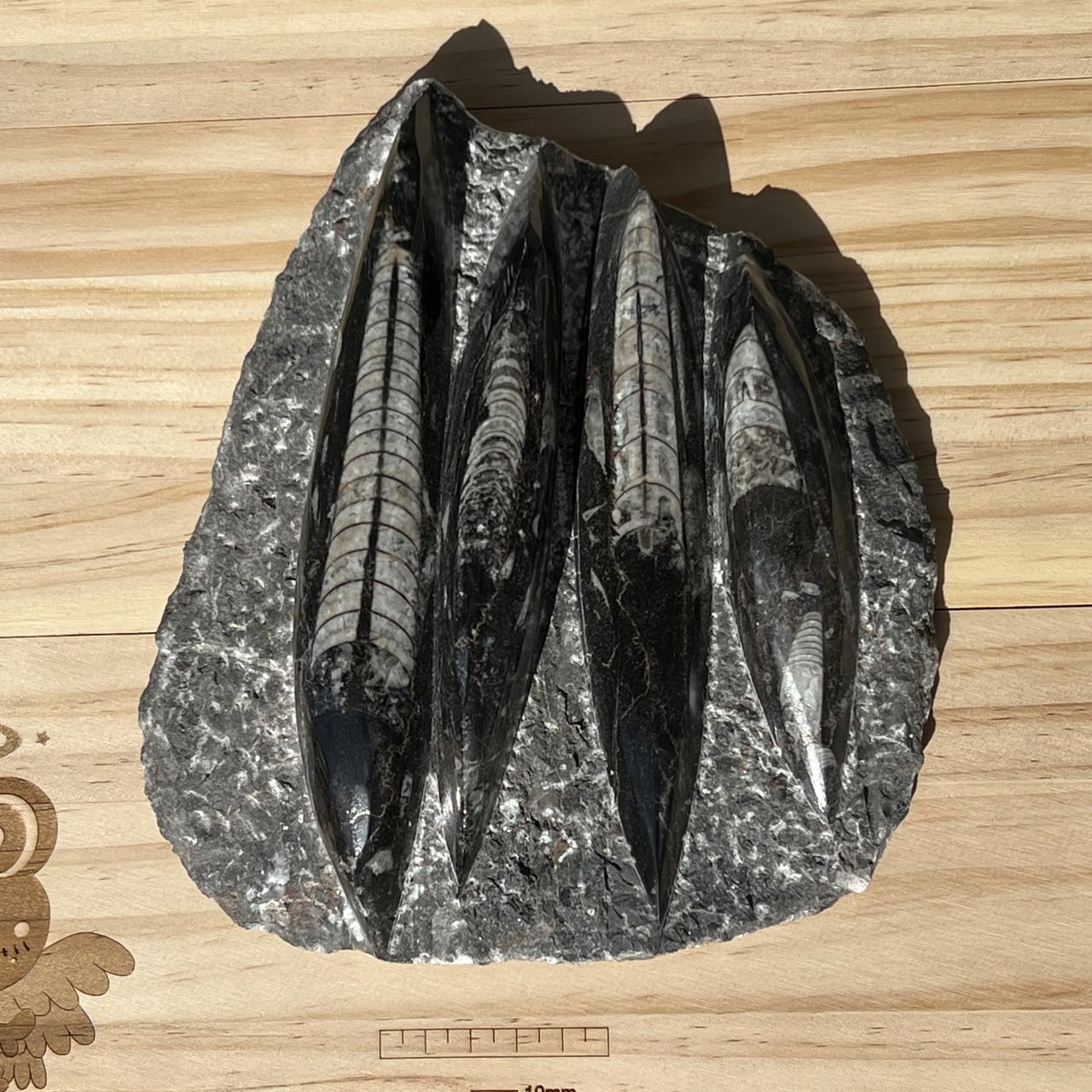 f7d97557dc6ce7fe934cb02b2b109d