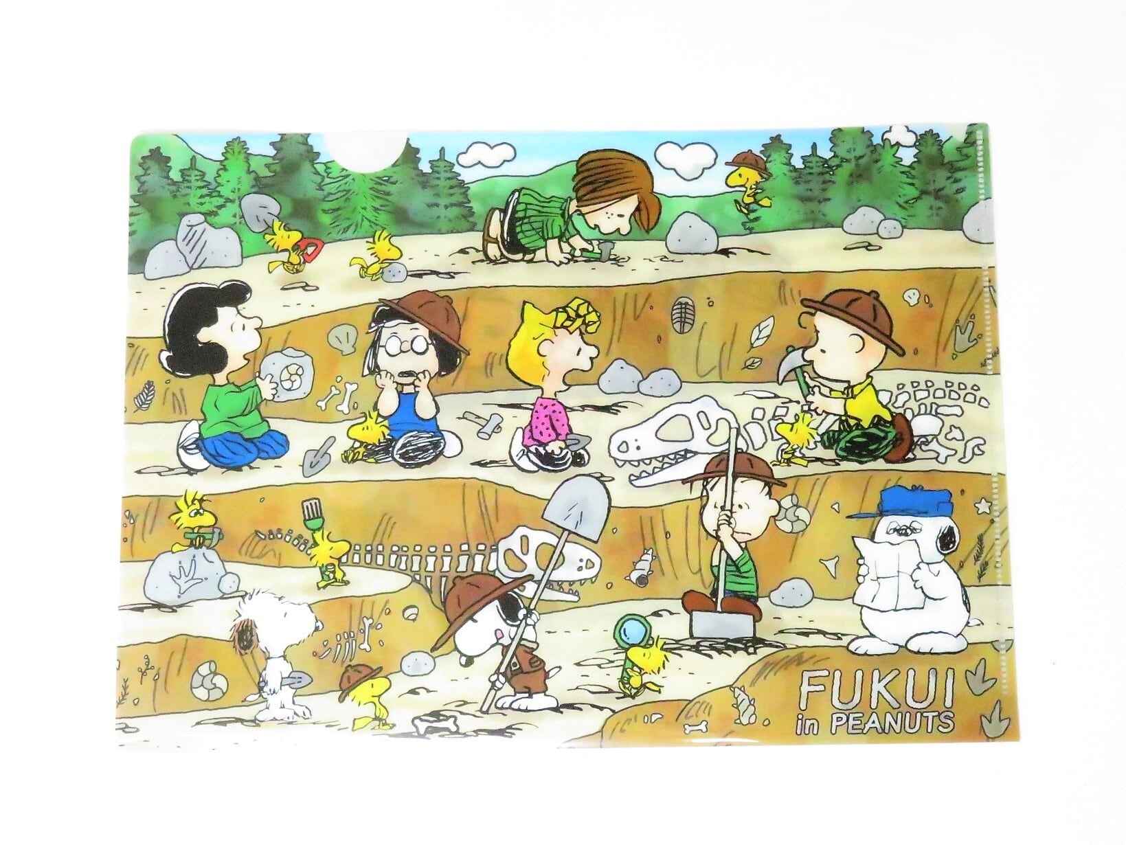 f☆i.r.s.y.a.f】【額装セット】SNOOPY スヌーピー福井限定クリア