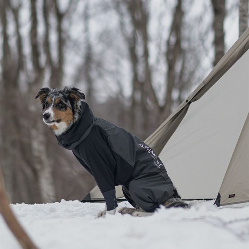 ALPHAICON SNOW DOG GUARD スノードッグガード ALPHAICON AUTUMN