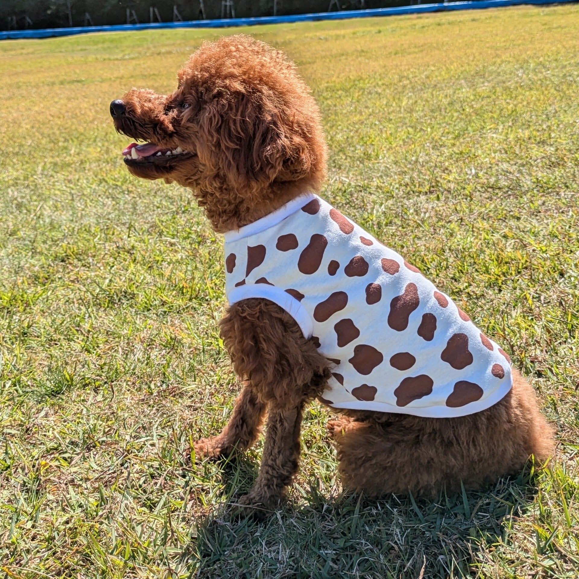 牛柄（ホルスタイン） ブラウン タンクトップ | ドッグウェア・犬服