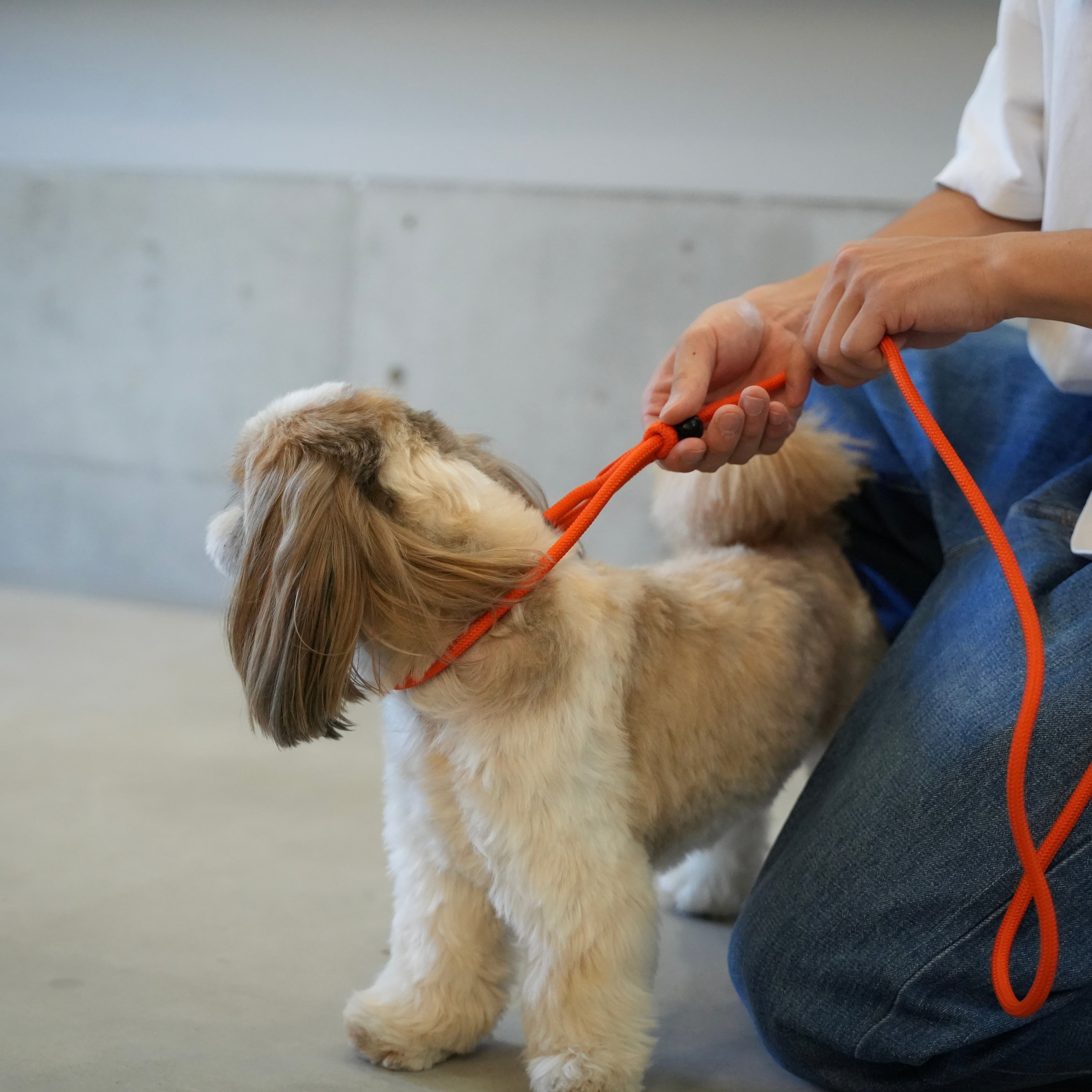 POLER×BRICO】2WAY ショルダースリップリーシュ | BRICO