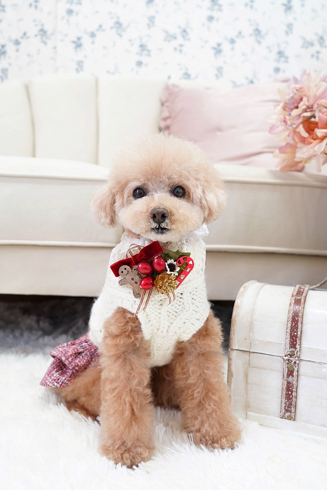 クリスマスチョーカー | hannah