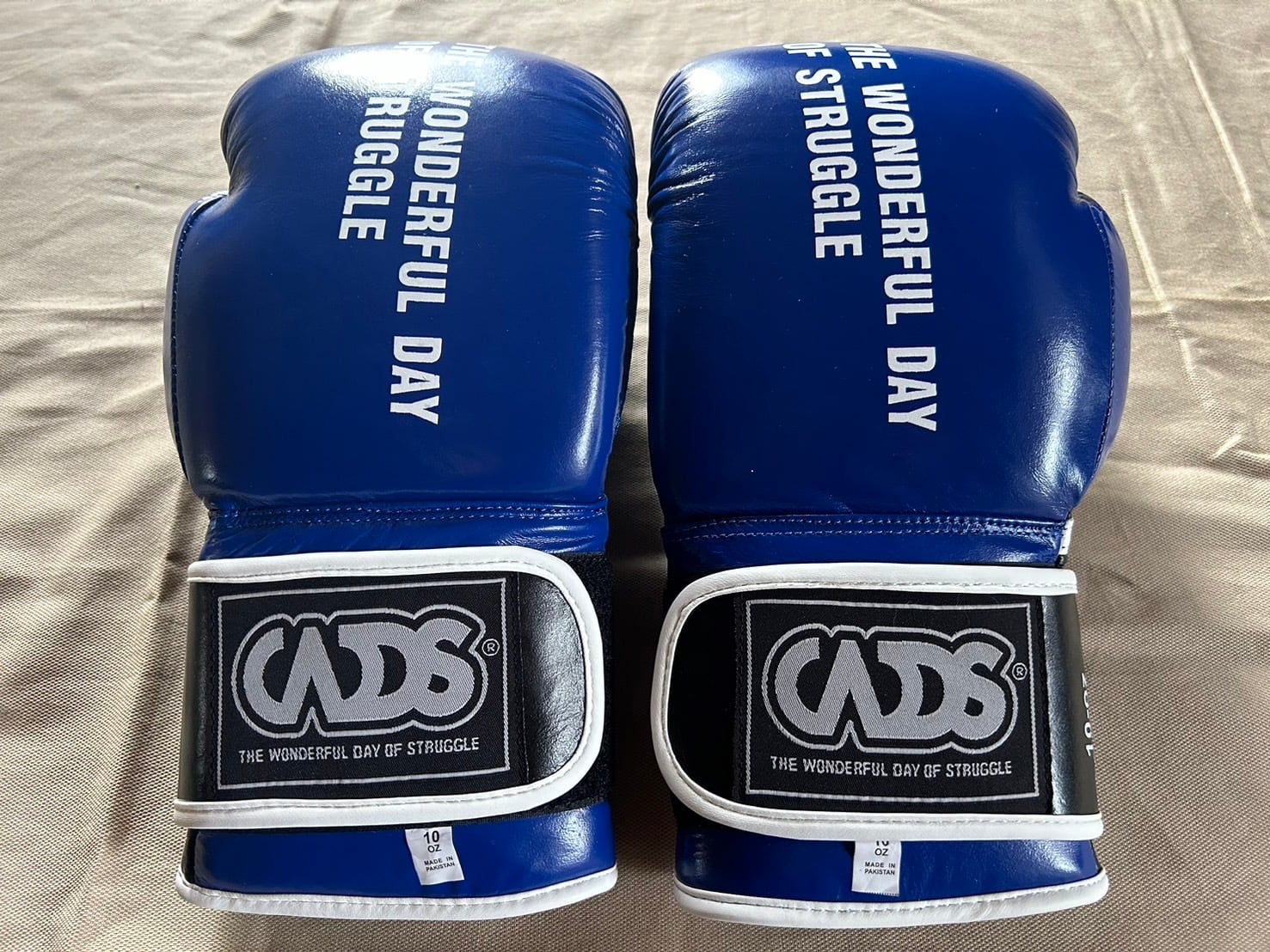 新品ラストRAJA グローブ 10oz ラジャスプラッシュカラー